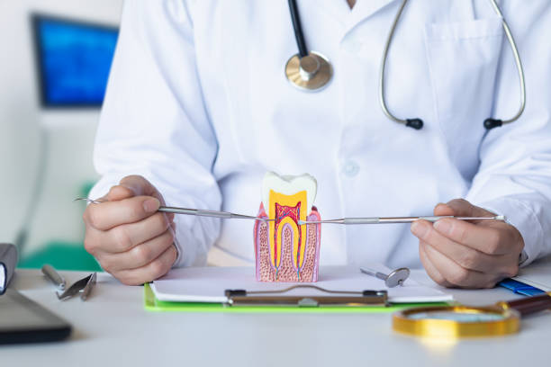 Best Tooth Infection Emergency Dentist  in White City, UT